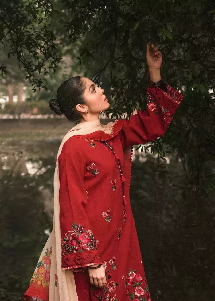 MUSHQ- LAWN LH_84