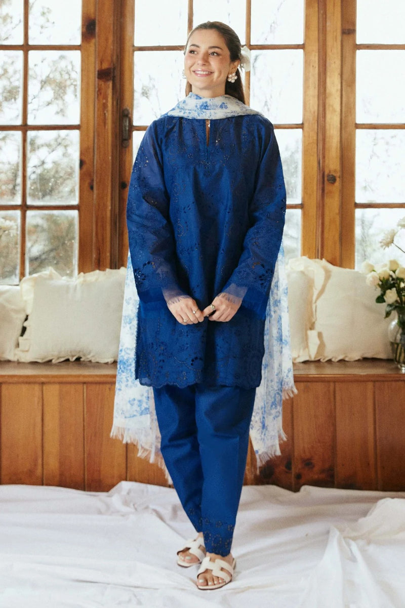 Embroidery Dhanak LH_77
